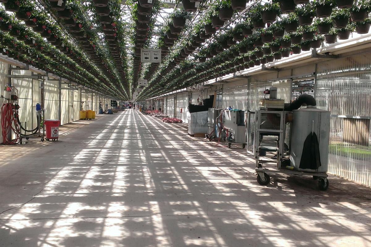 Catoctin Mtn Growers