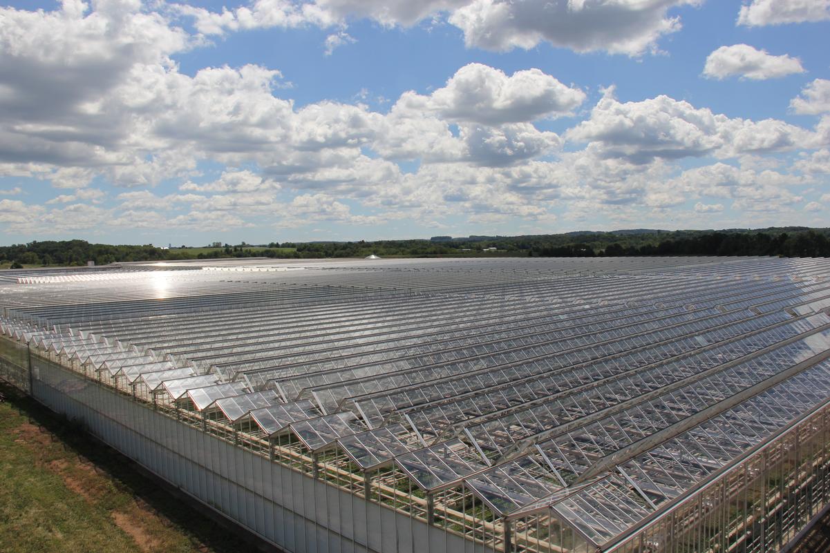 Catoctin Mtn Growers