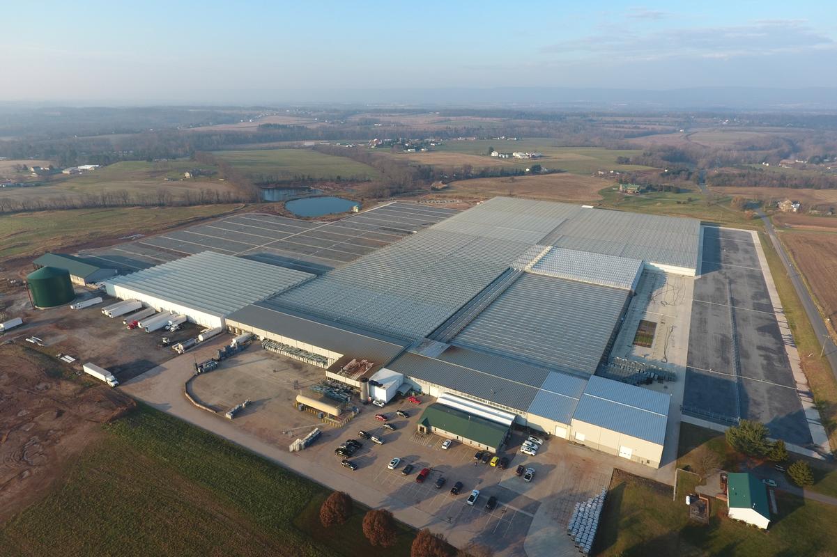 Catoctin Mtn Growers