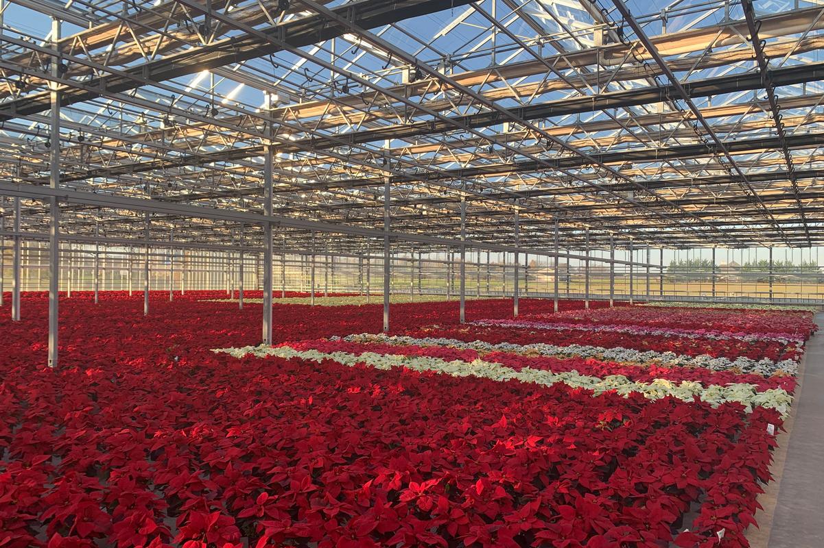 Catoctin Mtn Growers