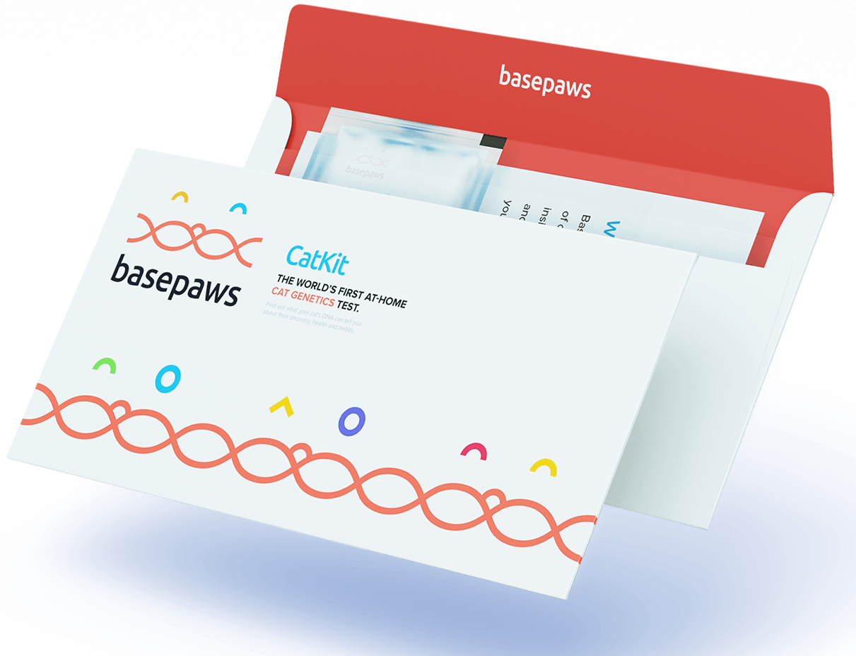 The Best Cat DNA Test Kit Reviews & Ratings for 2019