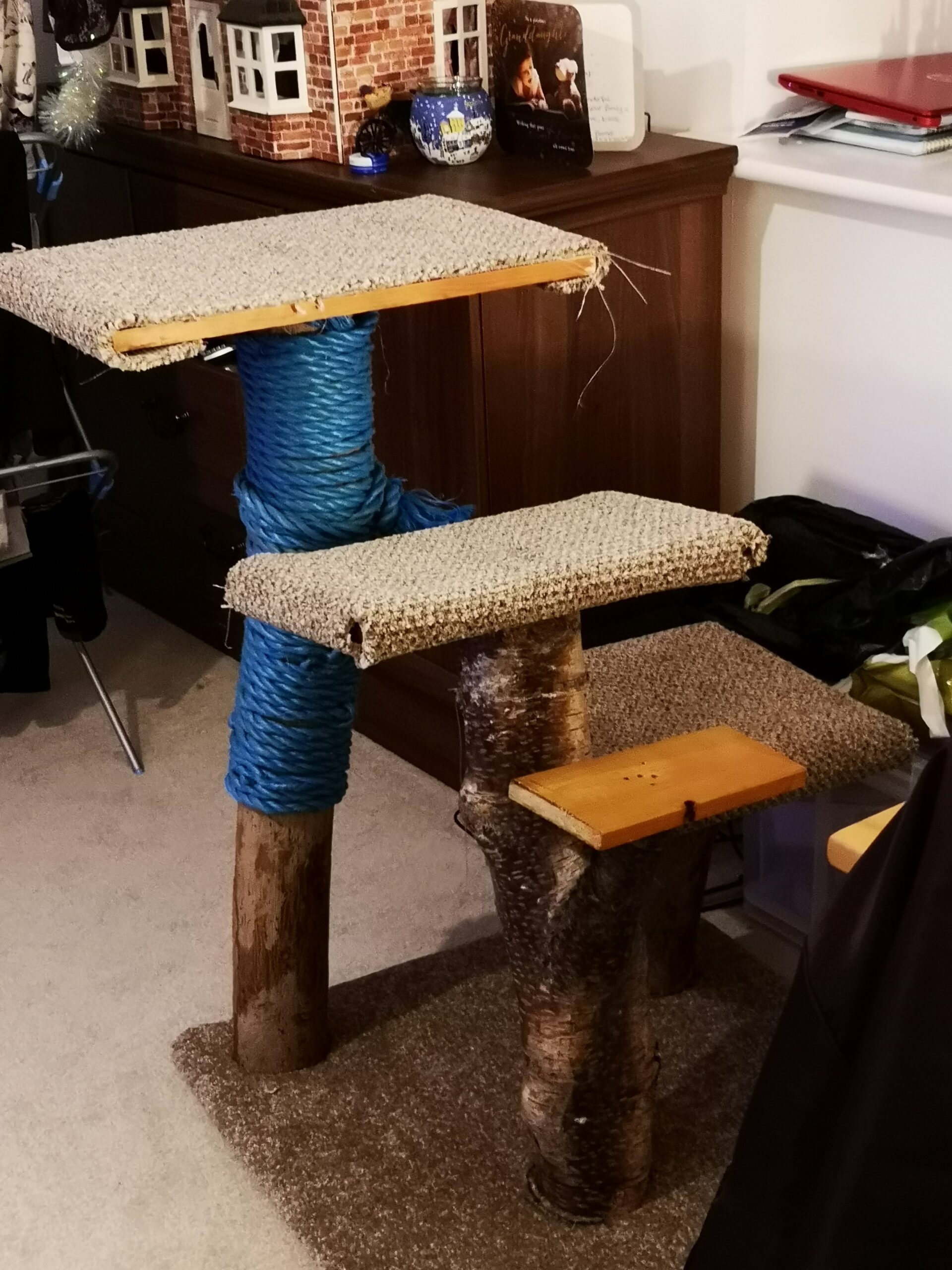 Enrichment For Cats The Ultimate List 14 Purrfect Ideas