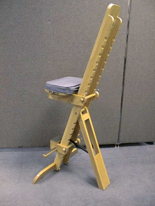 CATSPERCH CHAIR FLYER