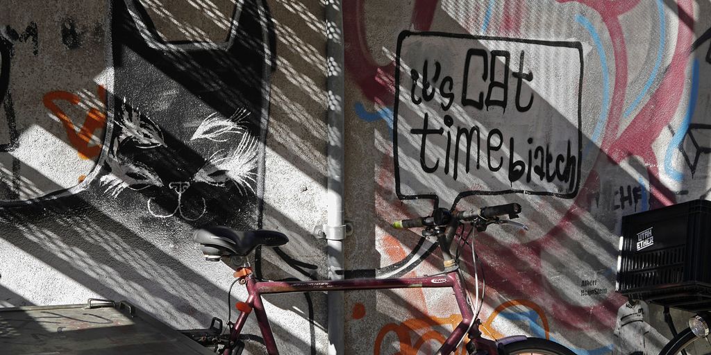 Marking Territories Understanding Why Cats Spray Cat Boarding Hotel