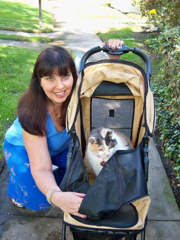 Let’s Talk What’s Your Take on Cat Strollers? Catster