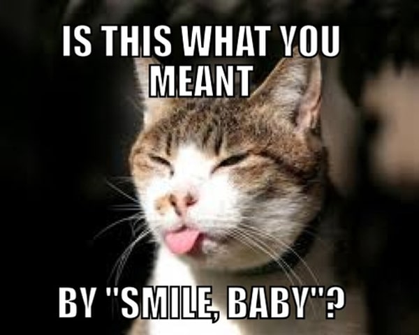 “Cats Against Catcalling” Tumblr Calls Out Street Harassers Catster