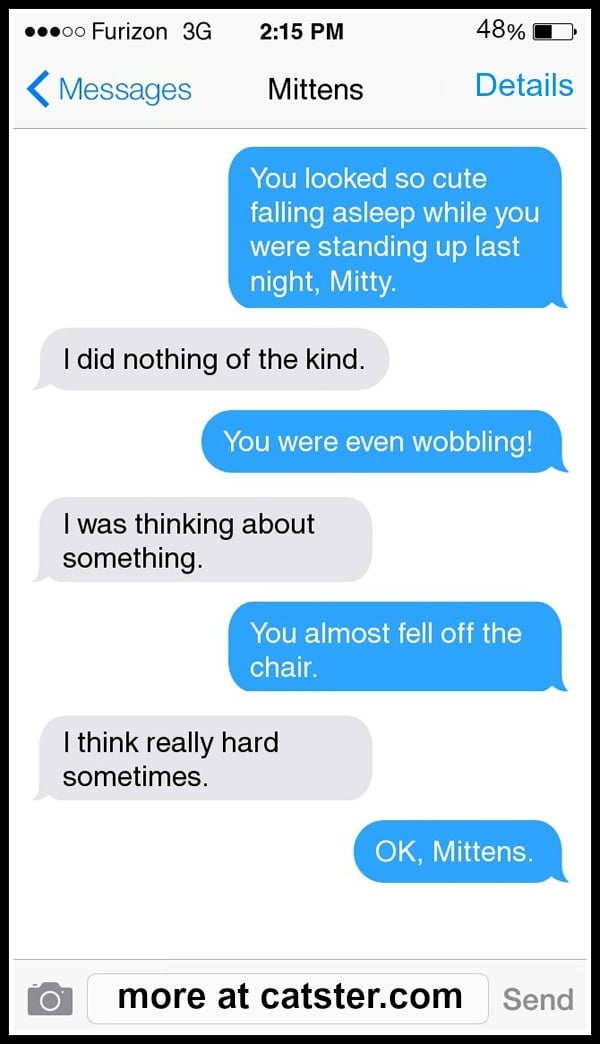 Texts From Mittens The Sleepover Edition Catster
