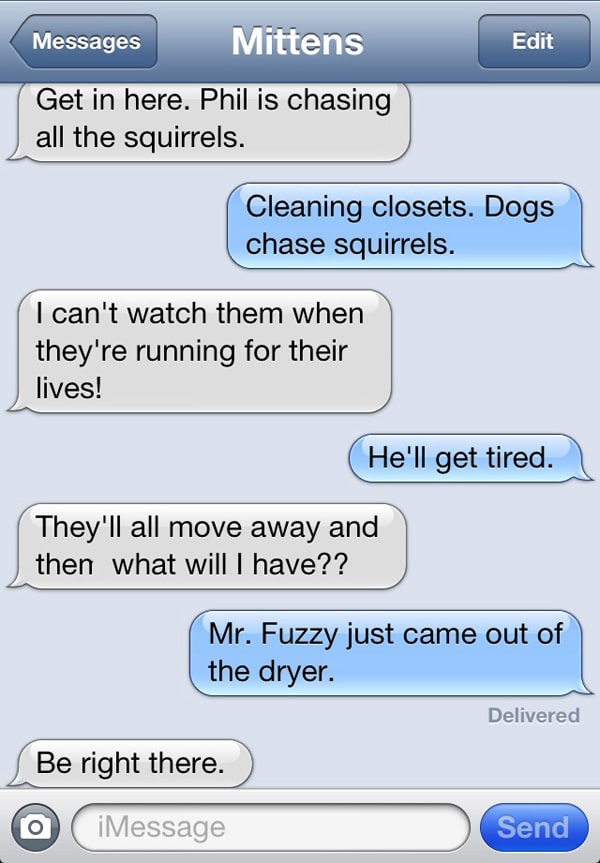 A Cat Friend Oversteps a Stinky Boundary, So Mittens Texts Catster