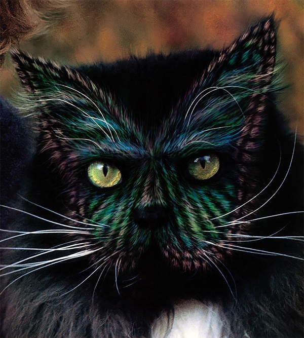 See Stunningly Painted Cats of the Book “Why Paint Cats?” Catster