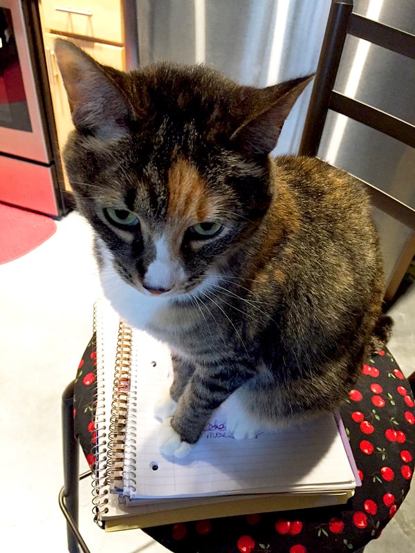 Just Like Magic SLOWED YouTube