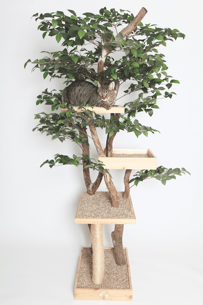 Indoor Cat Towers That Look Like Real Trees Are A Thing And, 56 OFF