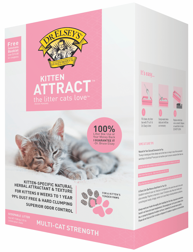 Your New Cat Checklist Catster