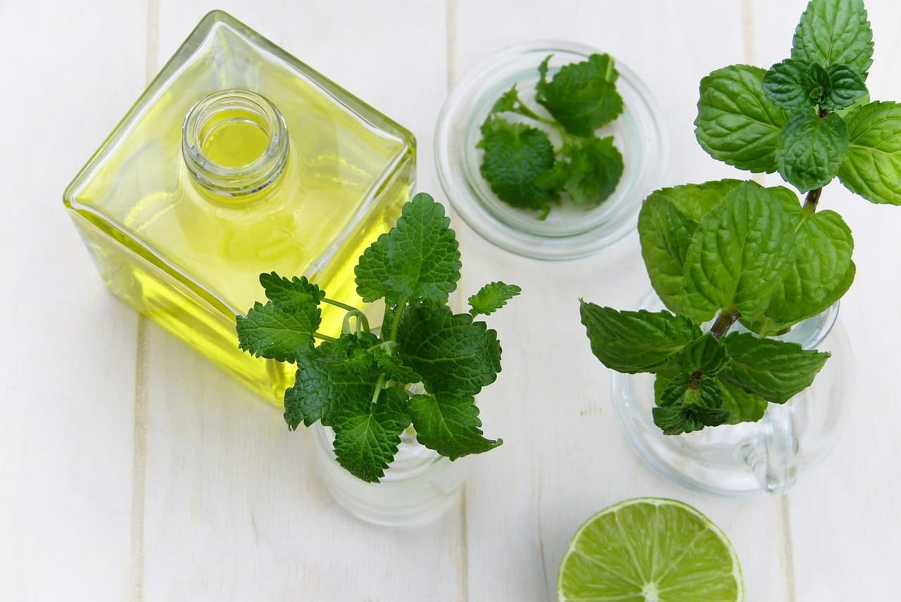 Does Peppermint Oil Kill Fleas on Cats? VetReviewed Effectiveness & Safety Catster
