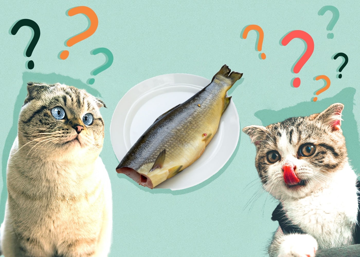 Can Cats Eat Raw Fish? Vet Approved Nutritional Facts & FAQ Catster