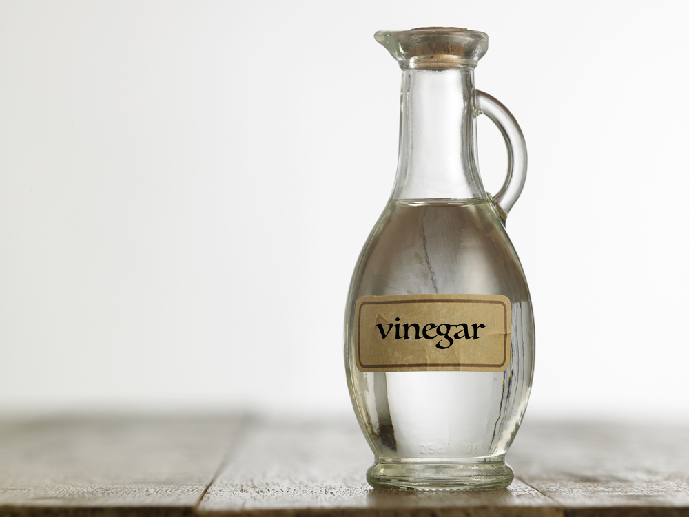 Does Vinegar Keep Cats Away? VetReviewed Facts & FAQ Catster