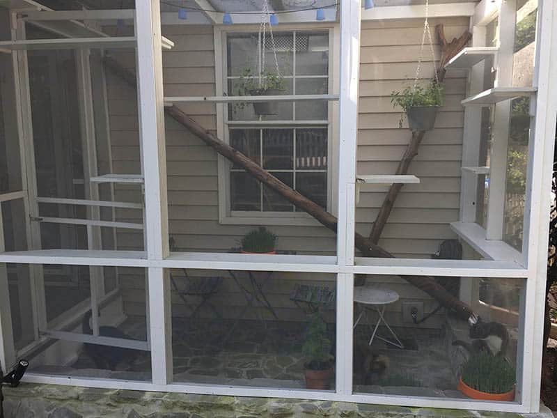 15 Free DIY Catio Plans That Are Perfect For The Outdoors (With