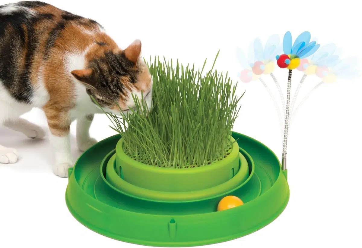10 Best Toys for Cats Home Alone in 2024 Reviews & Top Picks Catster