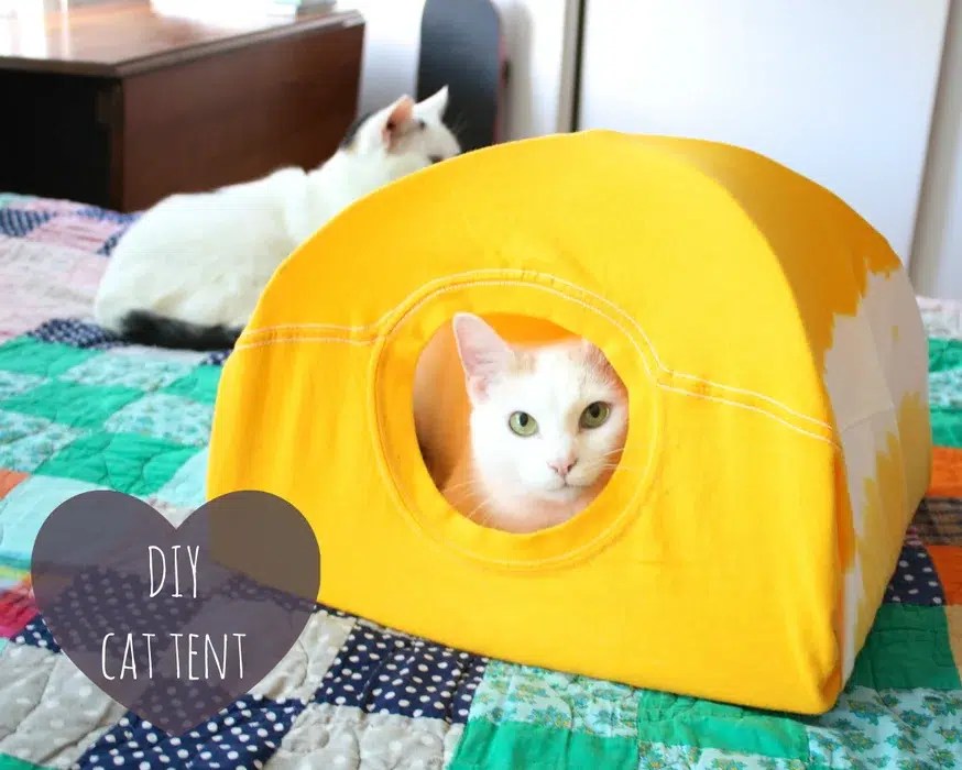 6 Amazing DIY Cat Birthing Box Plans You Can Create at Home Catster