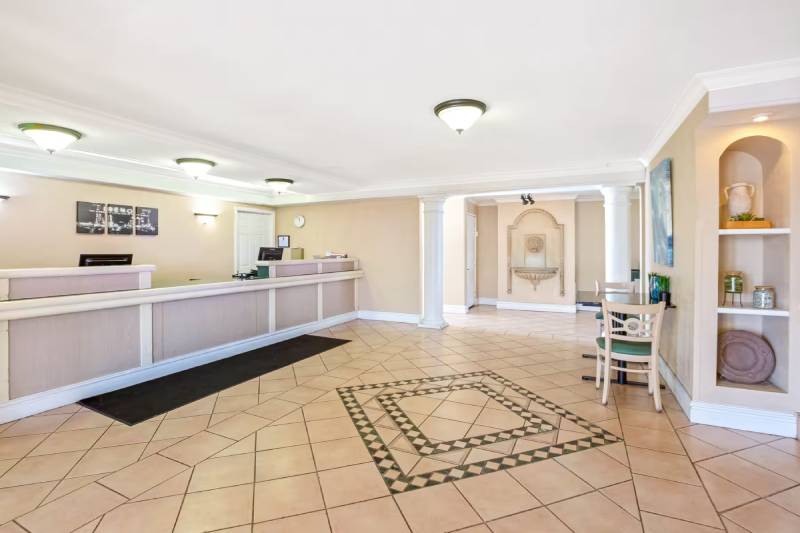 10 Pet Friendly Hotels in Reno, Nevada (2024 Update) Catster