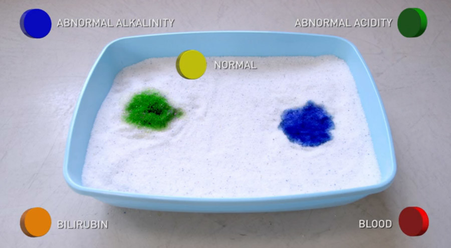 Detecting Potential Health Problems with Pretty LitterCatTipper