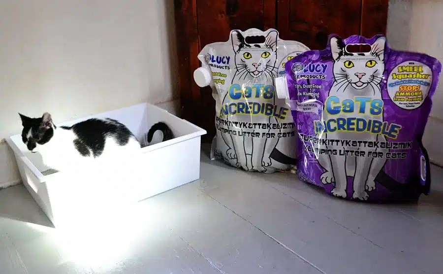 10 Reasons We Love Cats Incredible LitterAnd You Will, Too! CatTipper