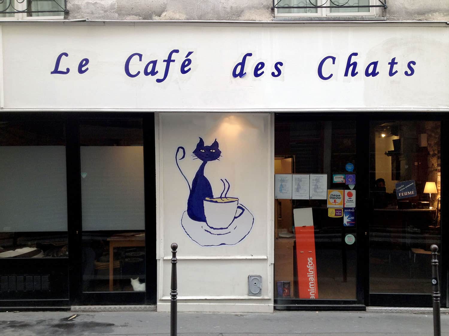 Le Cafe des Chats an Elegant Cat Cafe in ParisCatTipper