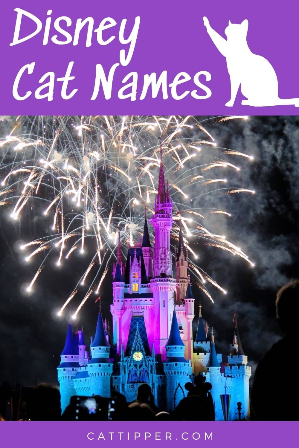 250+ Disney Cat Names & Their Meanings