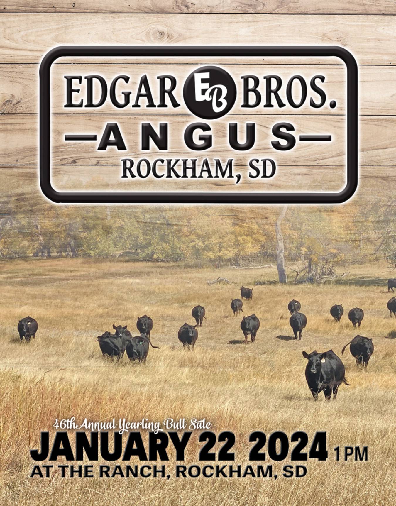 Edgar Brothers Angus 45th Annual Bull Sale Cattle Business Weekly