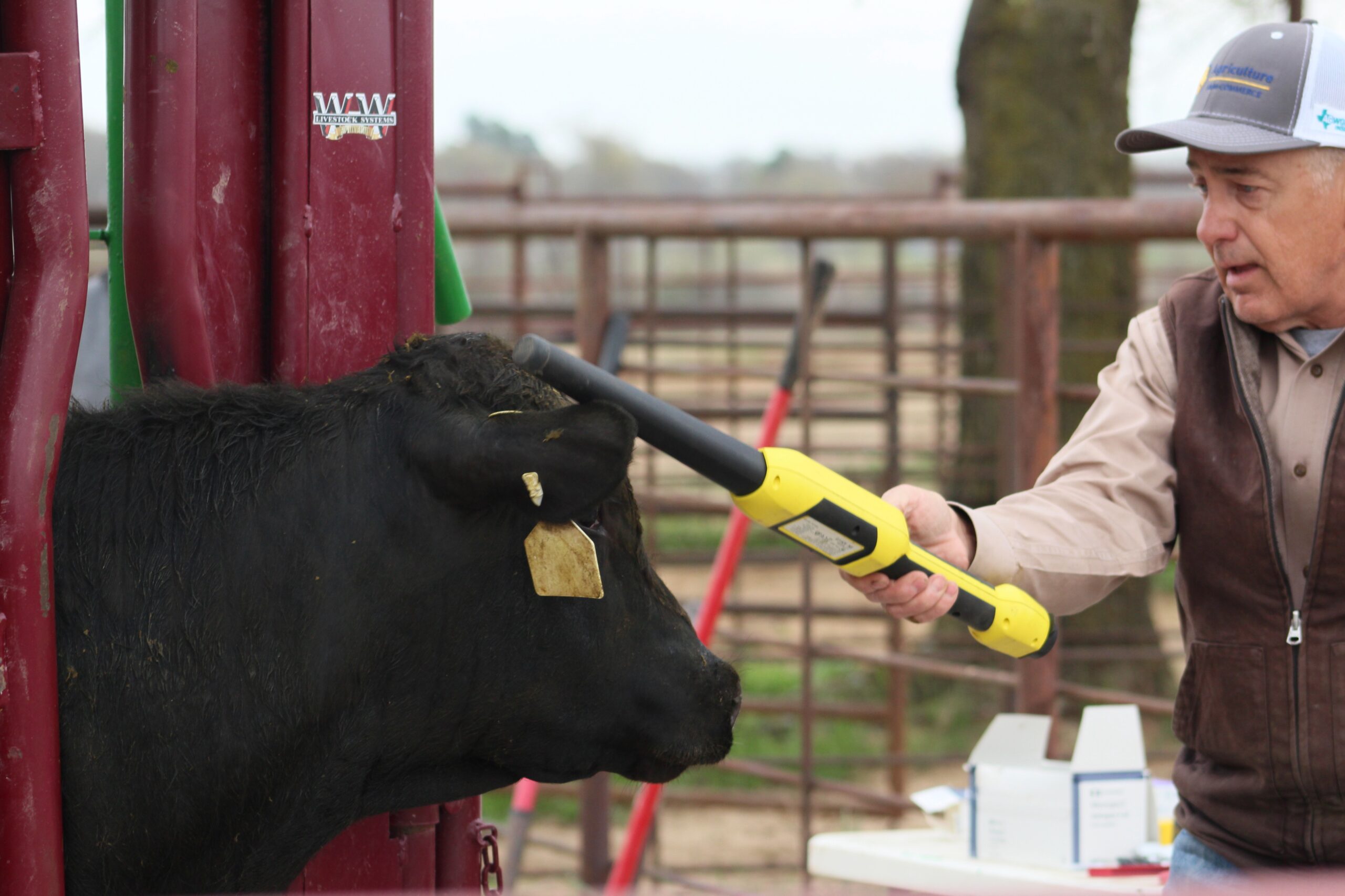 Cattle Tags and RFID Reader Integrations CattleMax