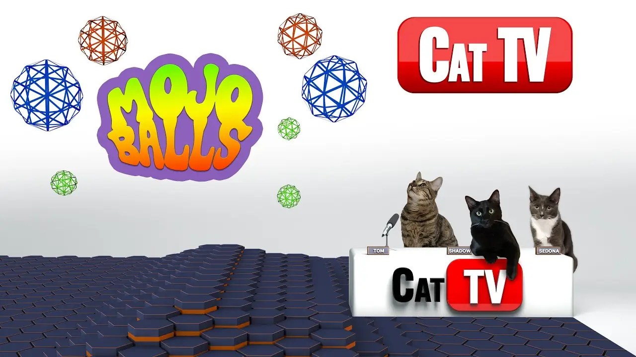 CAT TV Cat Games Mojo Balls Psychedelic Edition Videos For Cats