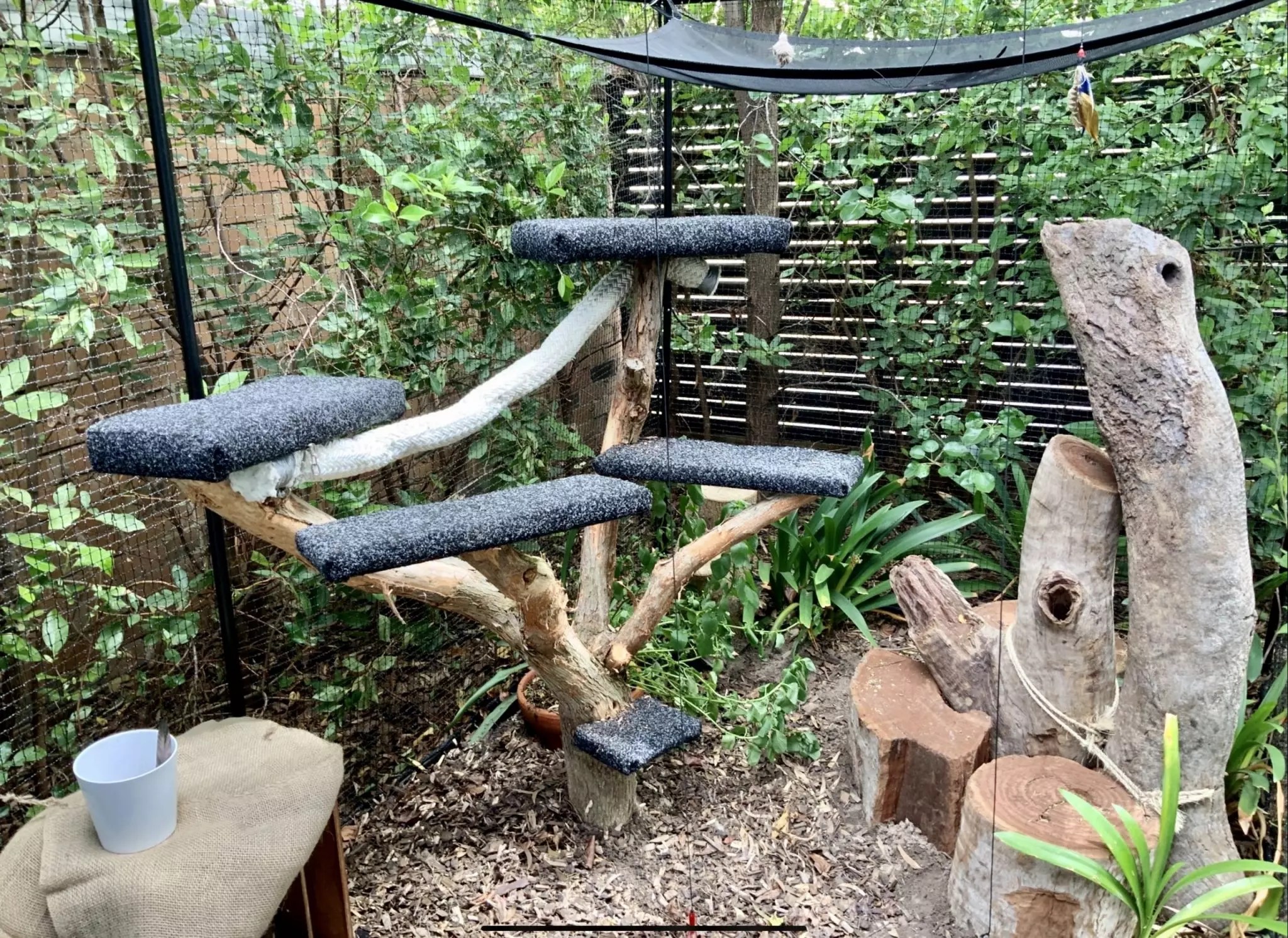 Outdoor Cat Play Equipment Melbourne Outdoor Cat Furniture