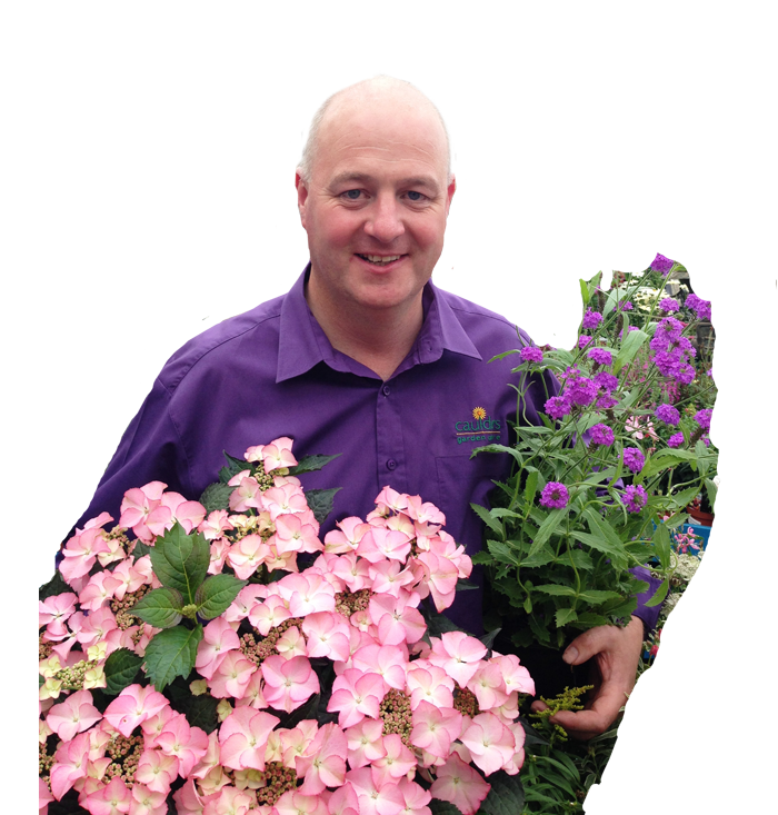 About us Caulders Garden Centres