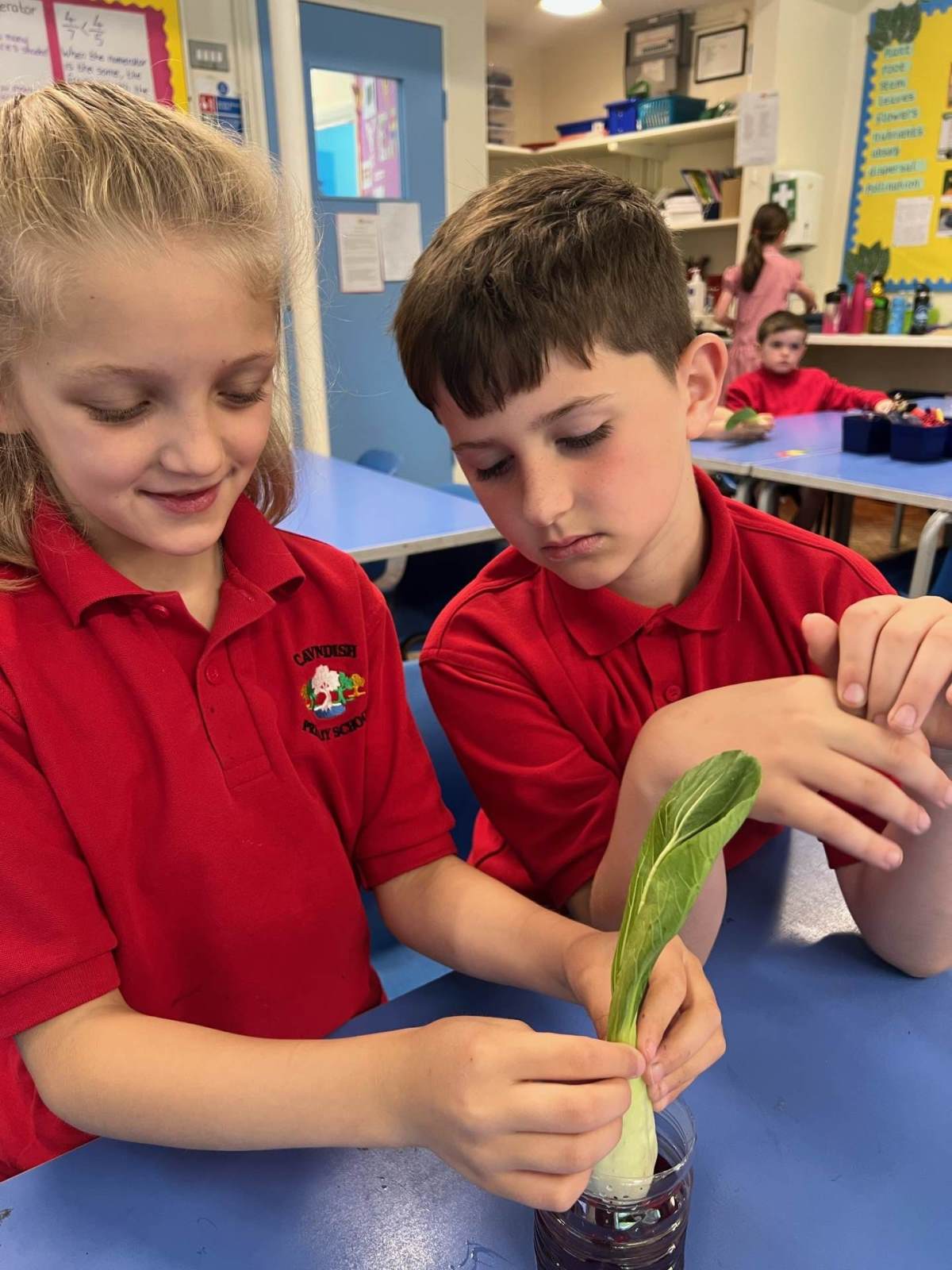 Cavendish Primary School Year 3 Hub