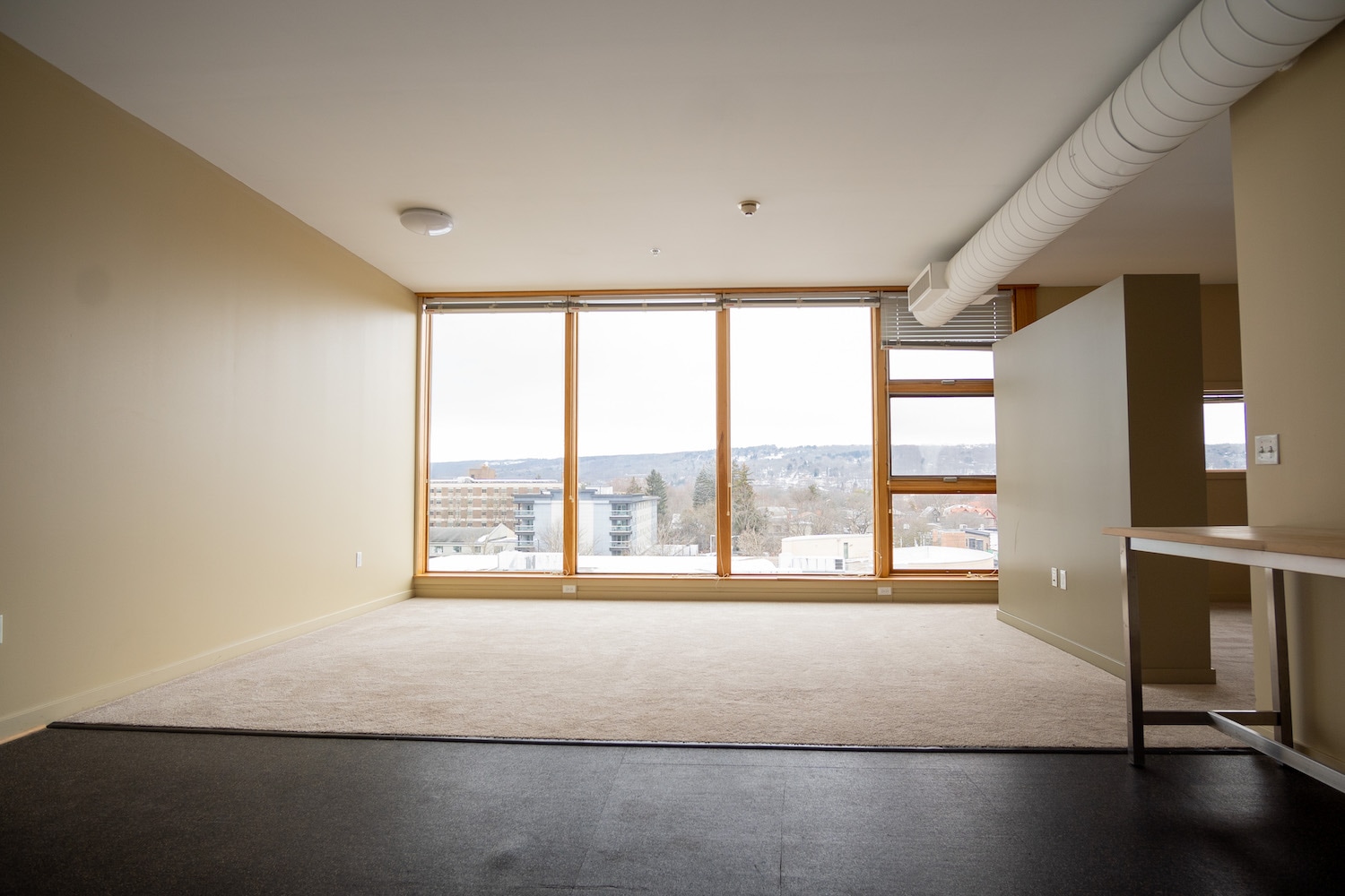 Gallery Cayuga Place