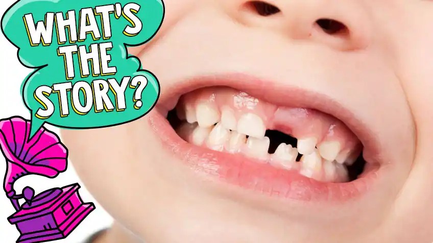 Why do we need baby teeth? Explore Awesome Activities & Fun Facts