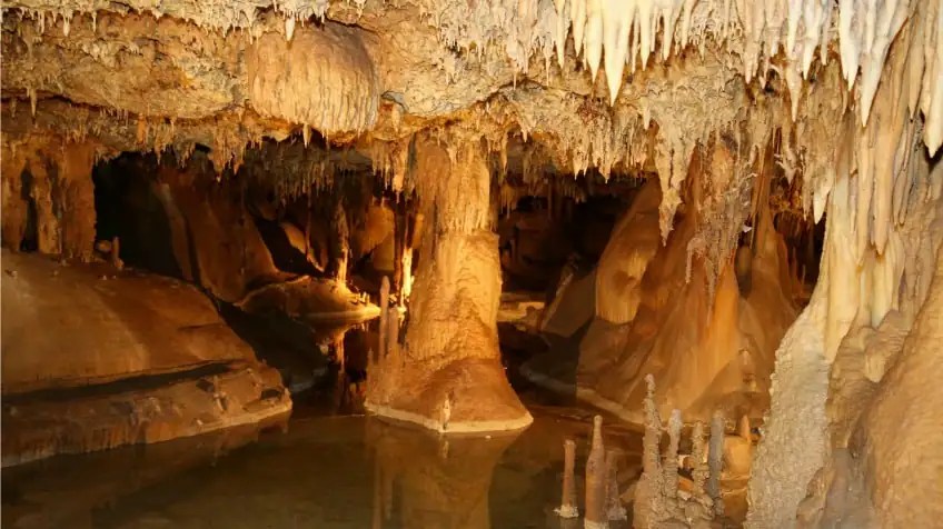 4 creepy animals that live deep down in caves Explore Awesome