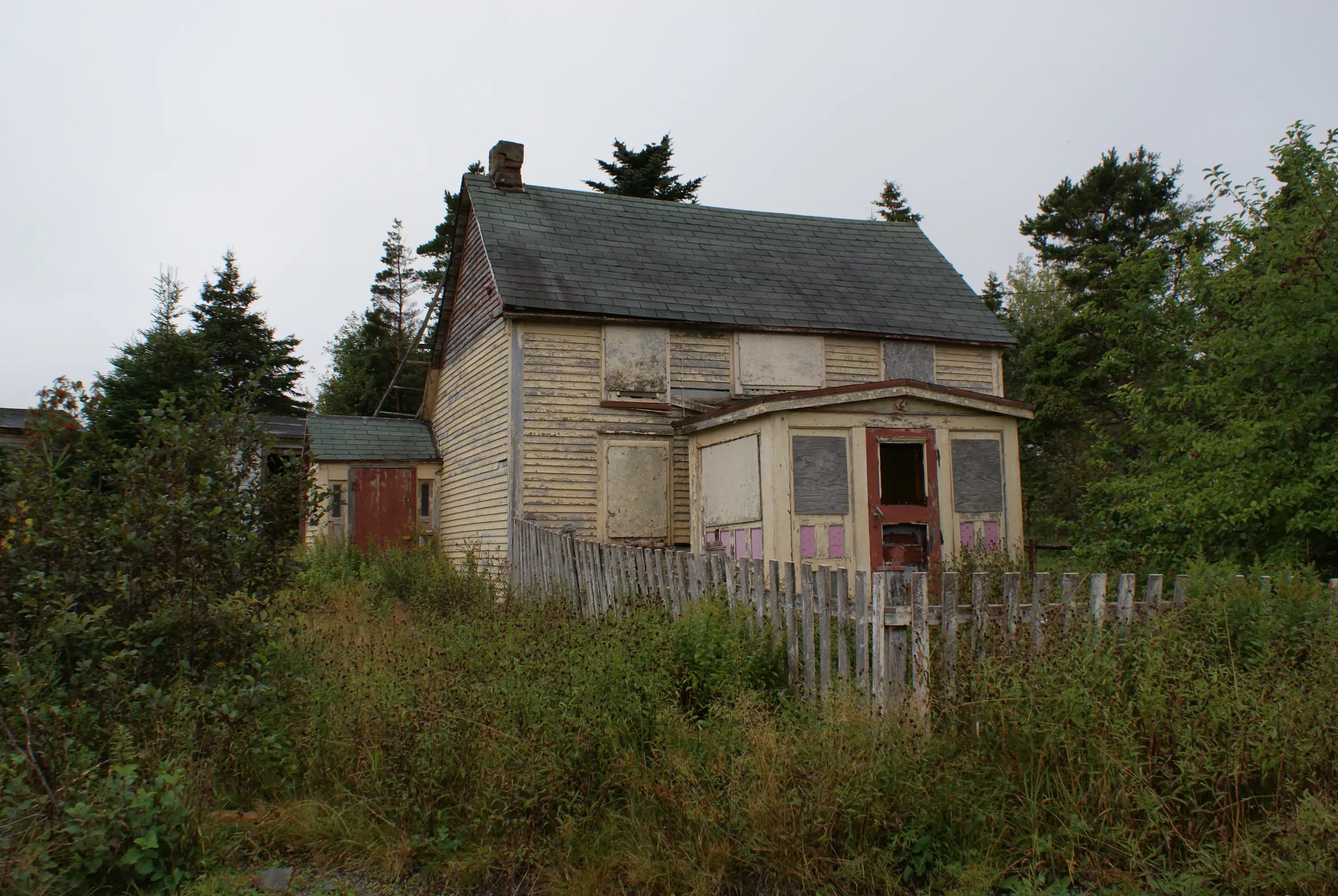 seen on the drive from Brigus to Avondale Seen