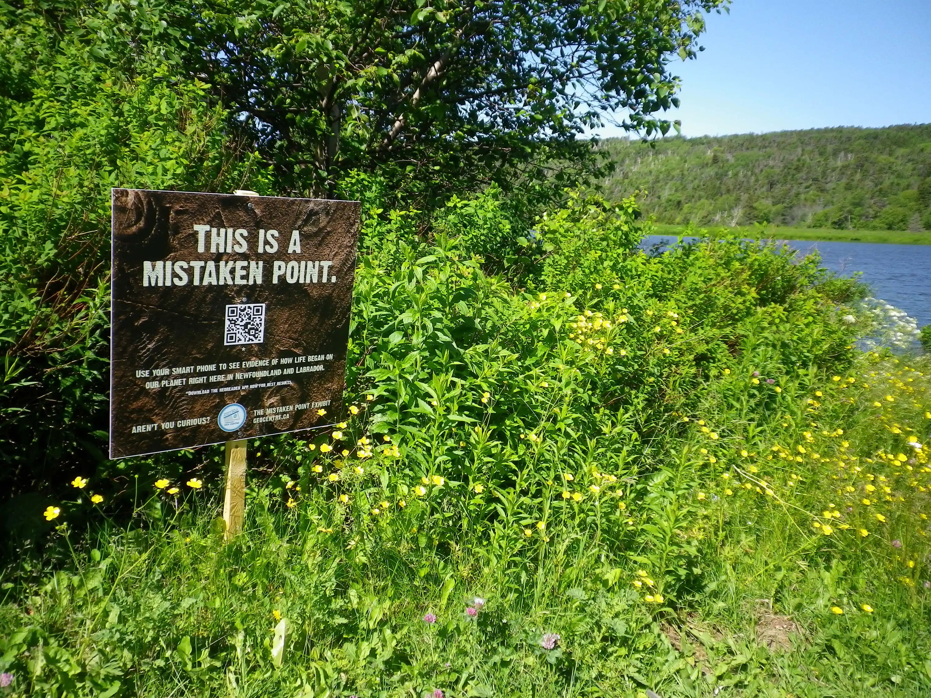 Seen at Long Pond Seen