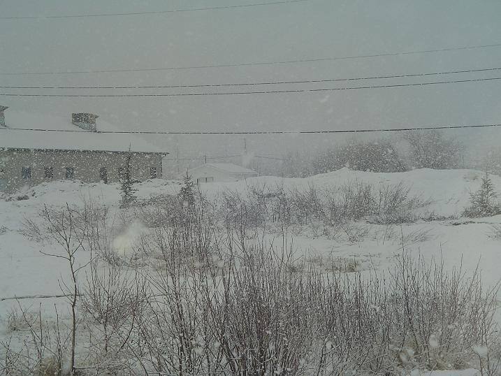 CBC Newfoundland & Labrador NL Weather 24/7