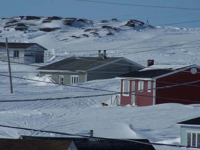 CBC Newfoundland & Labrador NL Weather 24/7