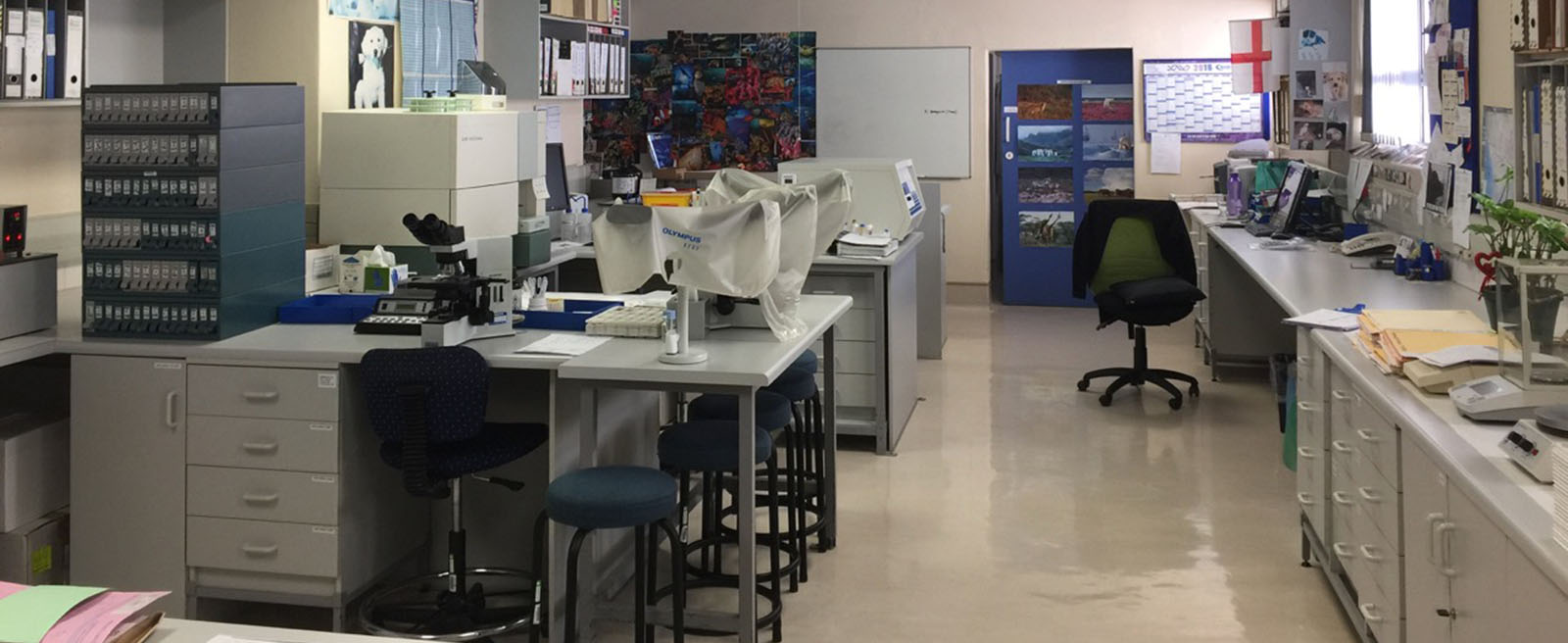 Home Haematologist Cape Town Constantiaberg Haematology