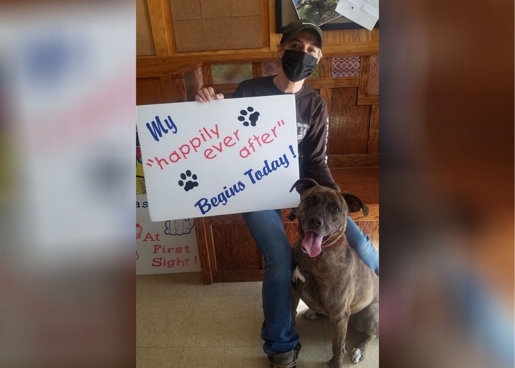 Dog adopted after spending 842 days in animal shelter CBS 17