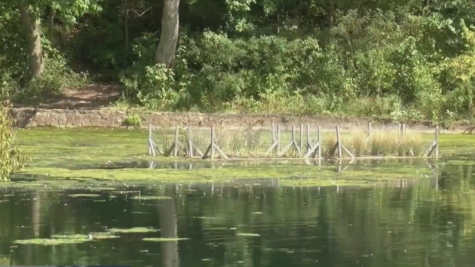 Wake Forest Reservoir boat access closed due to algae bloom