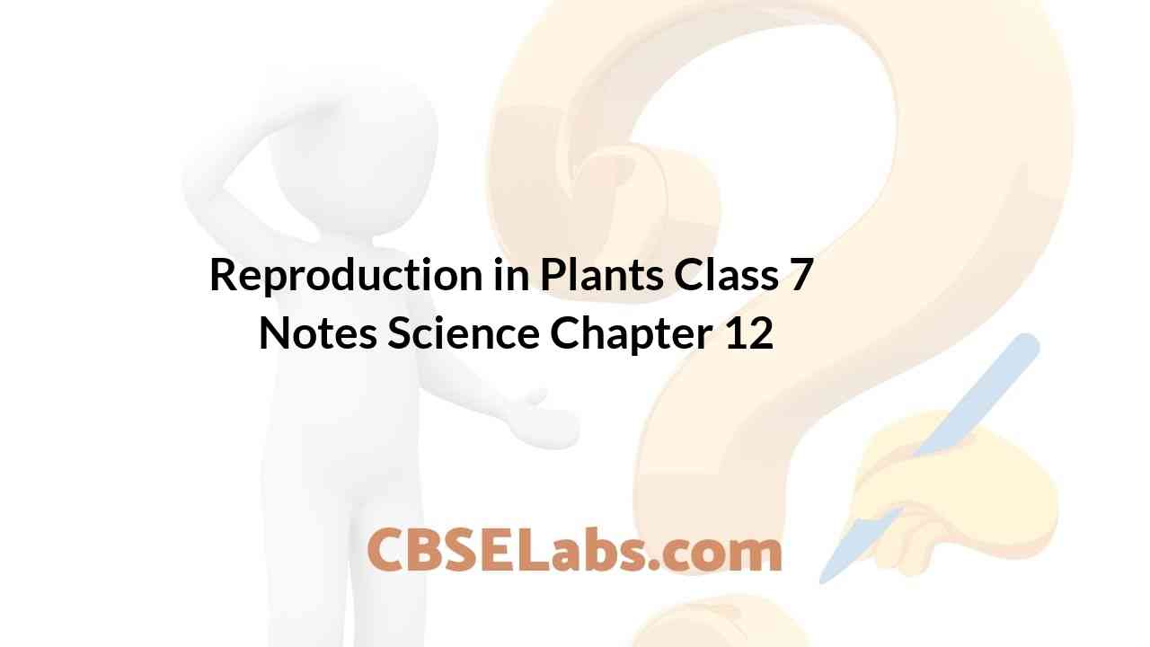 Reproduction in Plants Class 7 Notes Science Chapter 12 - CBSE Labs