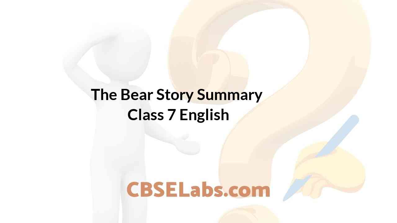 The Bear Story Summary Class 7 English CBSE Labs