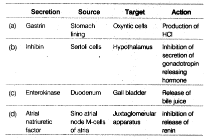 NEET Biology Mock Test 3 5