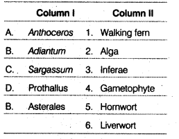 NEET Biology Mock Test 3 6