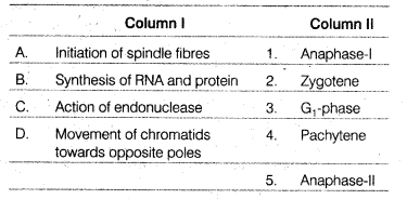 NEET Biology Mock Test 3 8