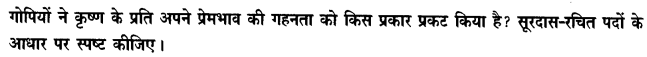 Chapter Wise Important Questions CBSE Class 10 Hindi A -पद 41