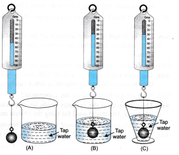 Ncert Class 9 Science Lab Manual Archimedes Principle Cbse Tuts Ncert Class 9 Science Lab Manual Archimedes Principle Cbse Tuts